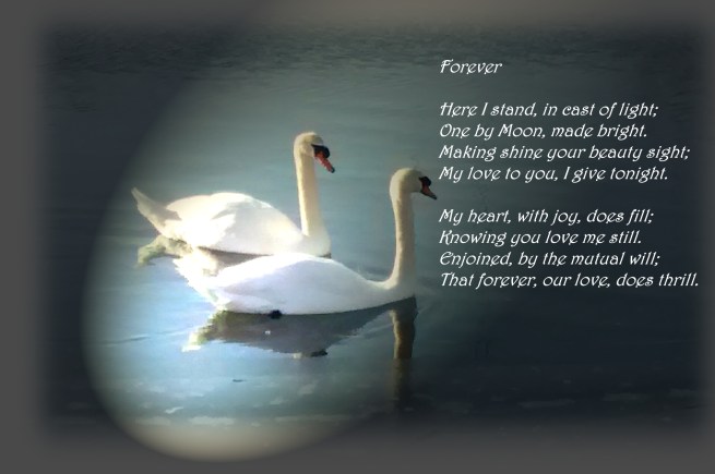 forever poem